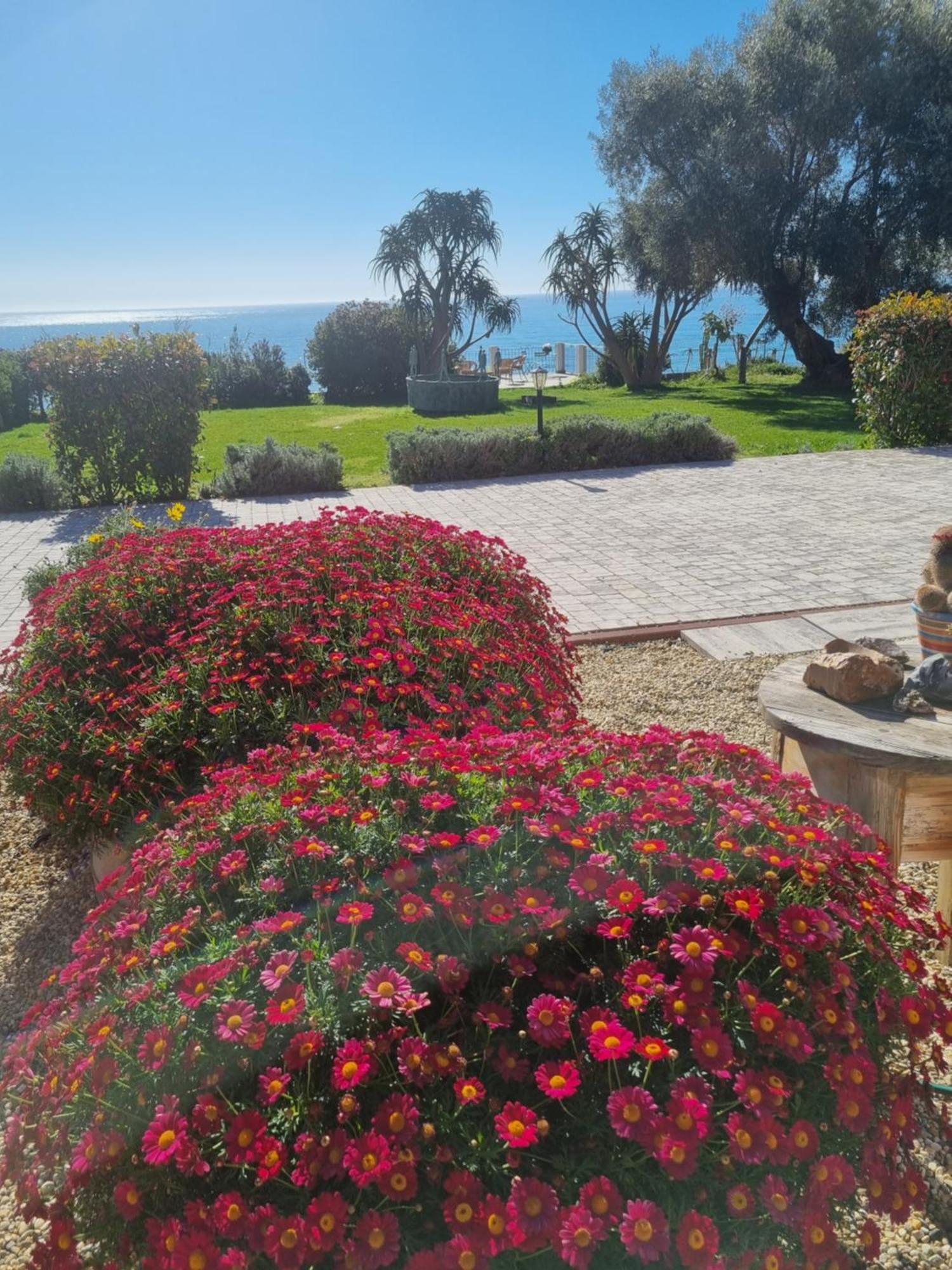 Agriturismo La Tuffatrice Imperia Kamer foto
