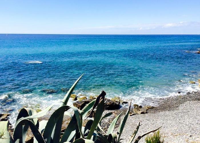 Agriturismo La Tuffatrice Imperia Buitenkant foto